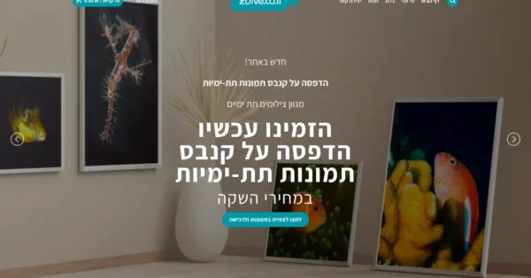 אתר תוכן אוטומטי לצוללים - עמוד הבית של 2Dive עם גלריית תמונות תת ימיות