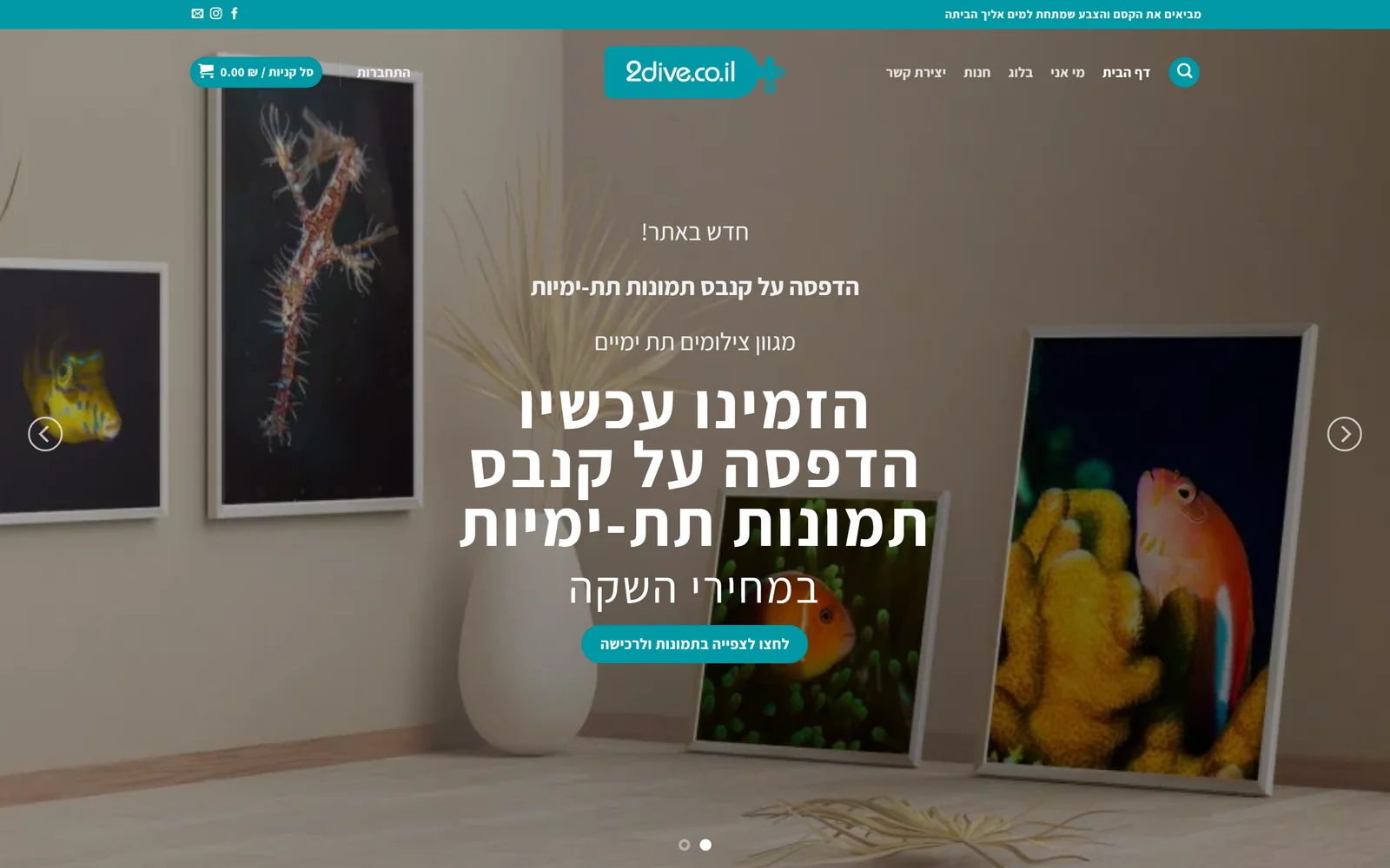 אתר תוכן אוטומטי לצוללים - עמוד הבית של 2Dive עם גלריית תמונות תת ימיות